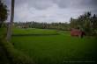 25_Bali_Indonesien_sterne_4_DSC_0212