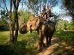 30_Thailand_sterne_4_DSCN3303