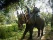 30_Thailand_sterne_4_DSCN3317