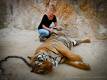 30_Thailand_sterne_4_DSCN3347