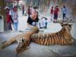 30_Thailand_sterne_4_DSCN3348