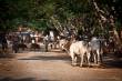 30_Thailand_sterne_4_DSC_0016