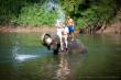 30_Thailand_sterne_4_DSC_0746