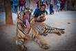 30_Thailand_sterne_4_DSC_0912