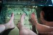 Fish-Spa