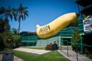 Big Banana - Coffs Habour