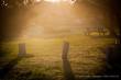 0019_Byron_Bay-Coffs_Habour_sterne_4-2