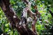 0020_CoffsHabour-Sydney_sterne_4-8
