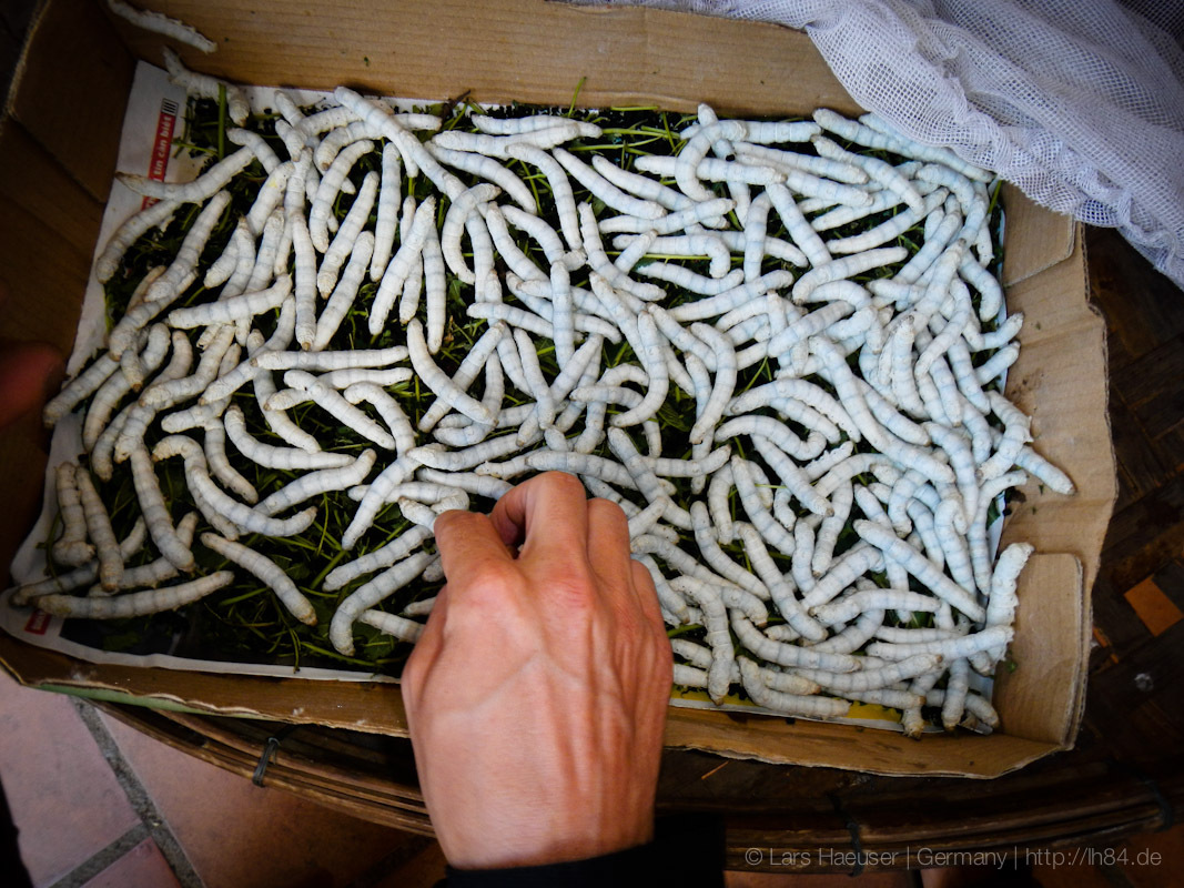 3_Dalat_sterne_4_DSCN2547