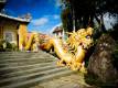 3_Dalat_sterne_4_DSCN2430