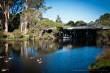 Denmark River | Denmark | Western Australia