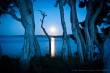 13_Esperance-Albany-Pamberton_sterne_4_DSC_0203