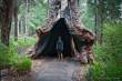 Ancient Empire Park | Valley of the giants