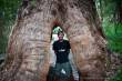 Ancient Empire Park | Valley of the giants