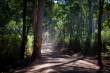 Warren River National Park