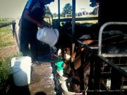 03_Pambula-SaphireCoast_sterne_4