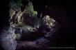 02_Deua-NP_sterne_5-5