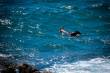 03_Pambula-SaphireCoast_sterne_5