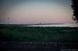 11_Eyre_Peninsula_sterne_4_DSC_0264