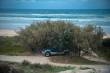 0015_Fraser_Island_sterne_5-11