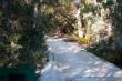 0015_Fraser_Island_sterne_5-2
