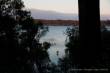 0015_Fraser_Island_sterne_5-3