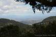 0018_GoldCoast_u_Hinterland_sterne_4-9