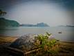 Cat Ba Island, Strand