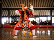 25_Java_Indonesien_sterne_4_DSCN0309