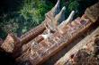 4_Bagan_sterne_4_DSC_0483