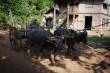 3_Hsipaw_sterne_4_DSC_0190