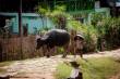 3_Hsipaw_sterne_4_DSC_0220