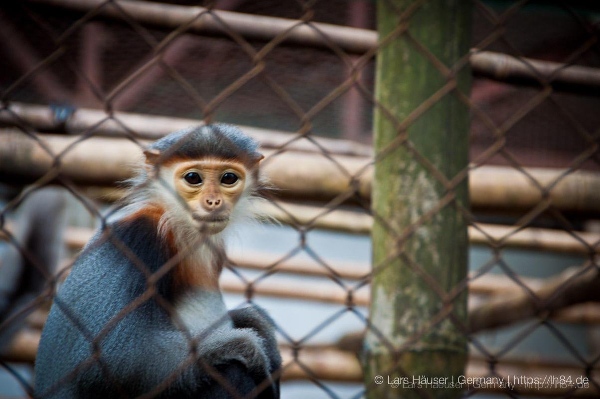 5_Ninh_Binh_sterne_4_DSC_0371