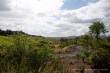 0011_Weg_nach_Townsville_sterne_4-3