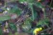 0011_Weg_nach_Townsville_sterne_4-5