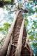 0011_Weg_nach_Townsville_sterne_4-6