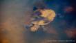 0011_Weg_nach_Townsville_sterne_5