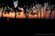 Abendstimmung im Camp