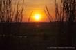 Sonnenuntergang im Window to the Wetlands am Adelade River