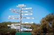 12_Nullabor_sterne_4_DSC_0080