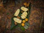 26_Sumatra_Indonesien_sterne_4_DSCN0467