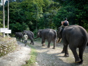 26_Sumatra_Indonesien_sterne_4_DSCN0609