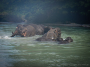 26_Sumatra_Indonesien_sterne_4_DSCN0621