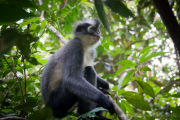 26_Sumatra_Indonesien_sterne_4_DSC_0227