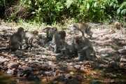 26_Sumatra_Indonesien_sterne_4_DSC_0307