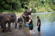 26_Sumatra_Indonesien_sterne_4_IMG_4764