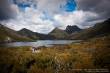 03_Westen_sterne_4-17
