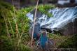 03_Westen_sterne_4-21