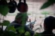 1_Saigon_sterne_4_DSC_0164
