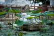 1_Saigon_sterne_4_DSC_0451